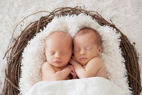 夢占い 卵 双子 産む